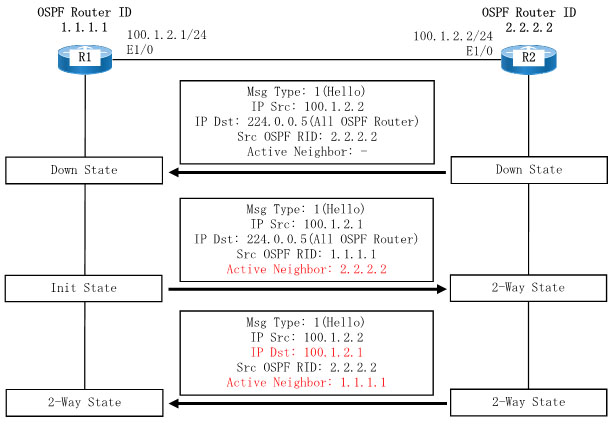 OSPF Neighborの確立