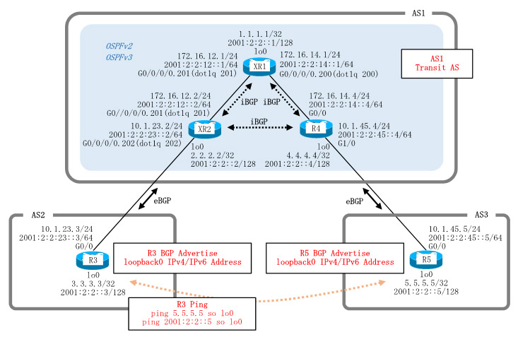 Cisco IOS-XRv BGP Configuration